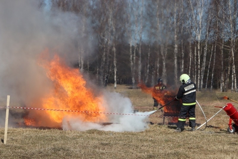 В-Ярославле-пожарные-МЧС-России-провели-масштабное-учение-по-ликвидации-природного-пожара