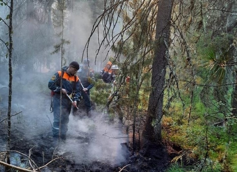 Более-тысячи-пожарных-ликвидируют-очаги-природных-пожаров-в-Югре