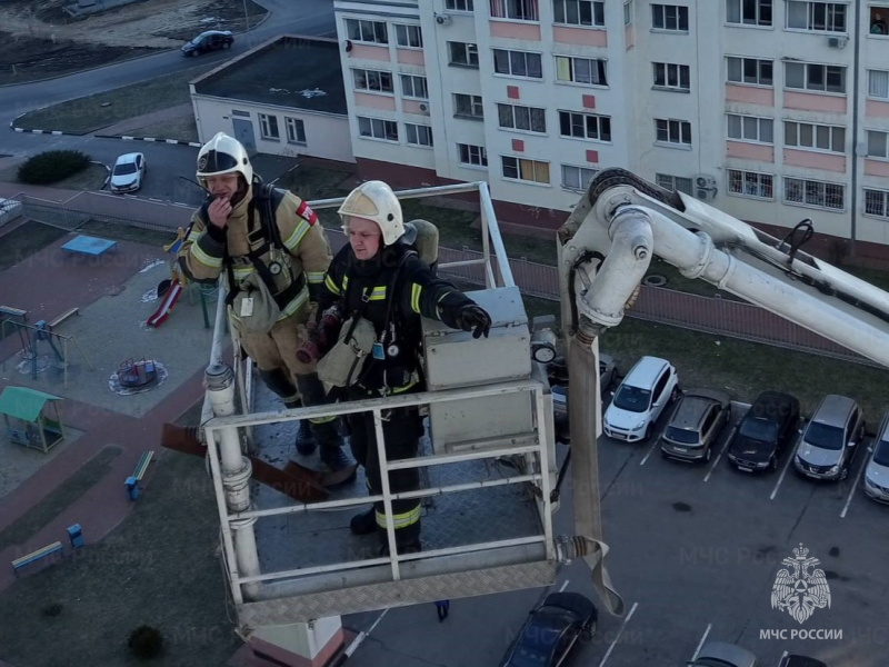 Пожарно-тактические-учения-проведены-в-Белгородской-области