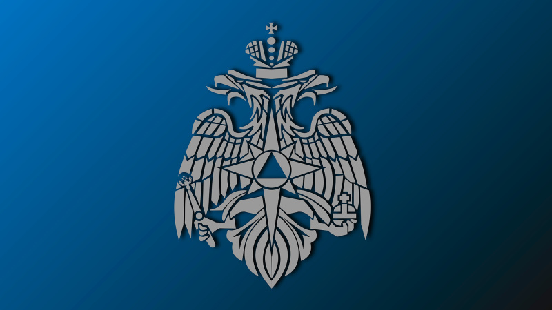 Правительство-наделило-МЧС-России-правом-максимального-авансирования-контрактов-на-поддержание-летной-годности-авиационной-техники