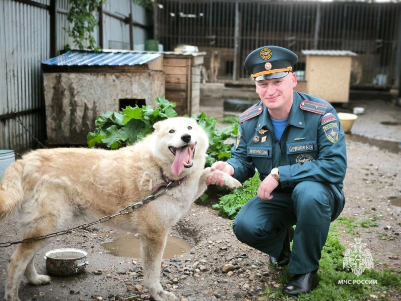 МЧС-России-заботятся-о-животных-в-приютах