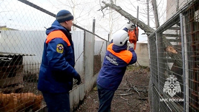 Сотрудники-МЧС-России-в-ЕАО-помогли-собачьему-приюту