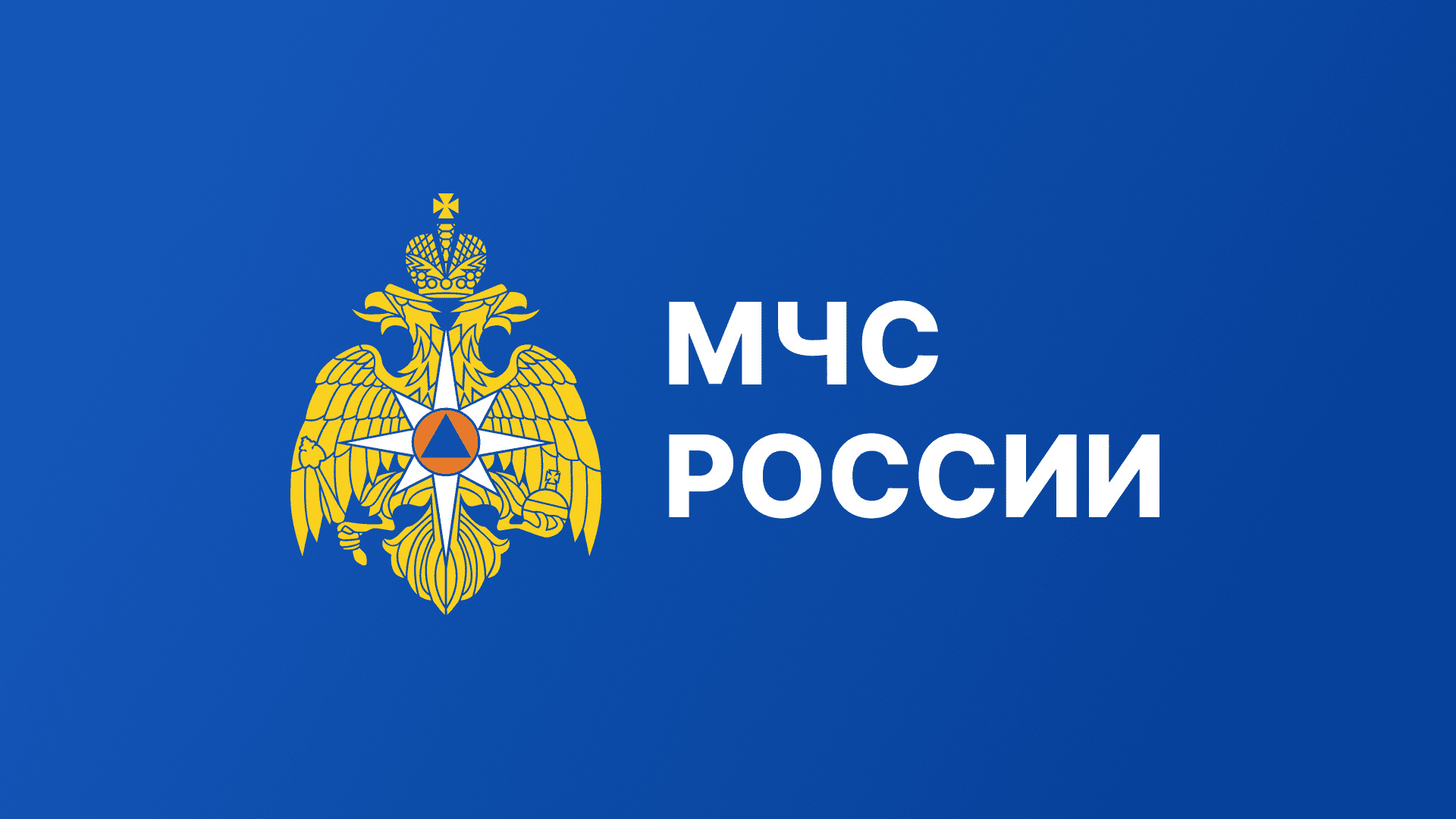 Глава-МЧС-России-доложил-Президенту-РФ-о-пожароопасной-ситуации-в-регионах