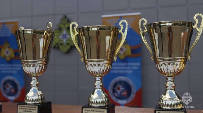 В-Ногинске-завершился-чемпионат-по-многоборью-служебных-собак