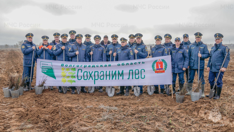 Посадив-деревья-волгоградские-пожарные-выполнили-одно-из-«35-ти-добрых-дел»