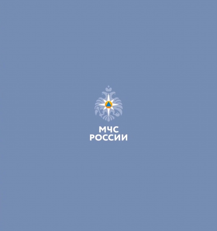 Более-70-тысяч-сообщений-с-экстренной-информацией-получили-пользователи-мобильного-приложения-«МЧС-России»